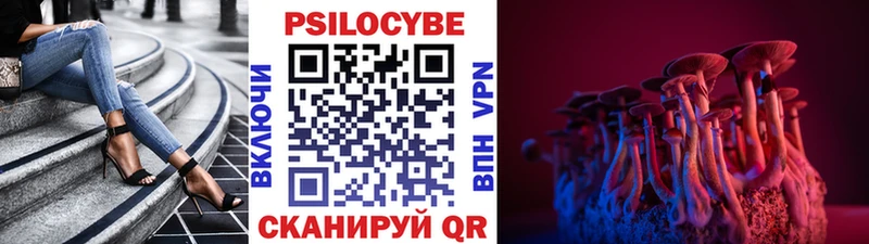 Псилоцибиновые грибы Psilocybine cubensis  Купить  Симферополь 